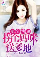 安子琪萧莫漓全集