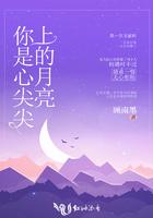 心尖上的你简介