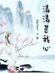 清清入我心完整版