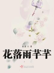 花雨落任然